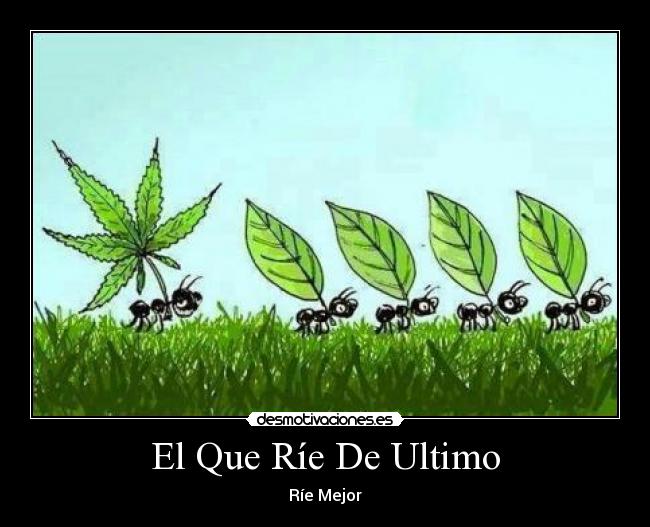 El Que Ríe De Ultimo - 