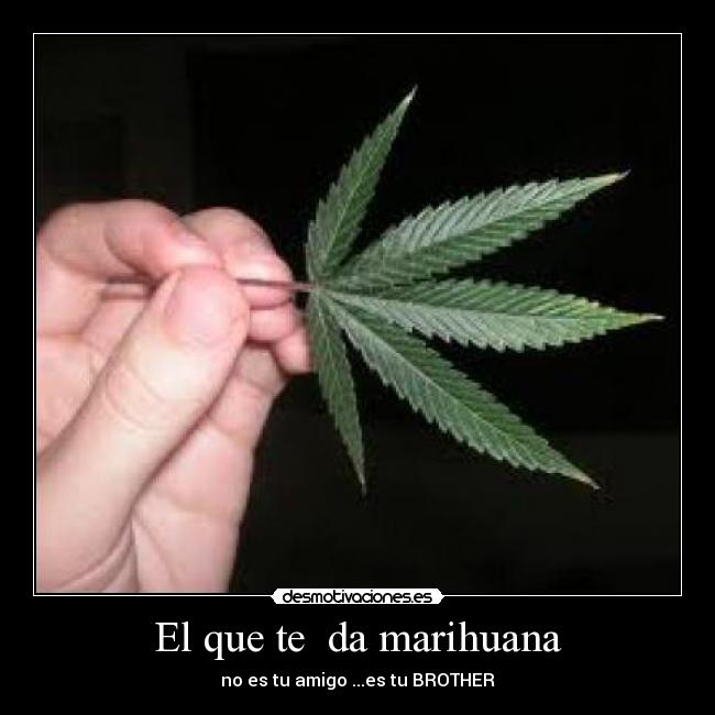 El que te da marihuana -