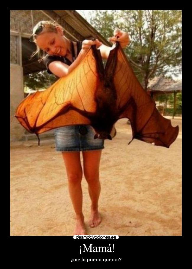 carteles mama puedo quedar desmotivaciones