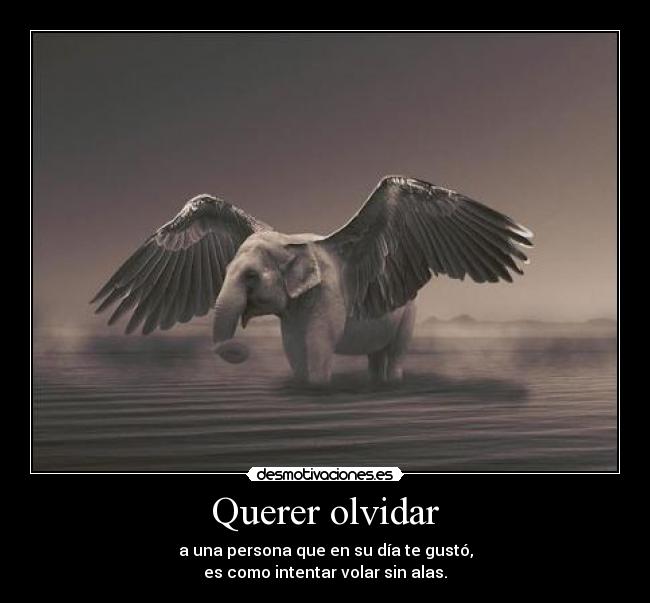 Querer olvidar - 