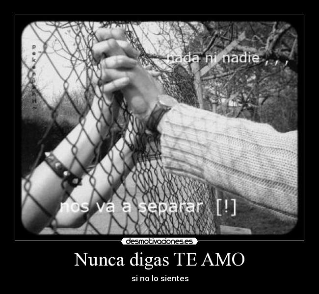 Nunca digas TE AMO -