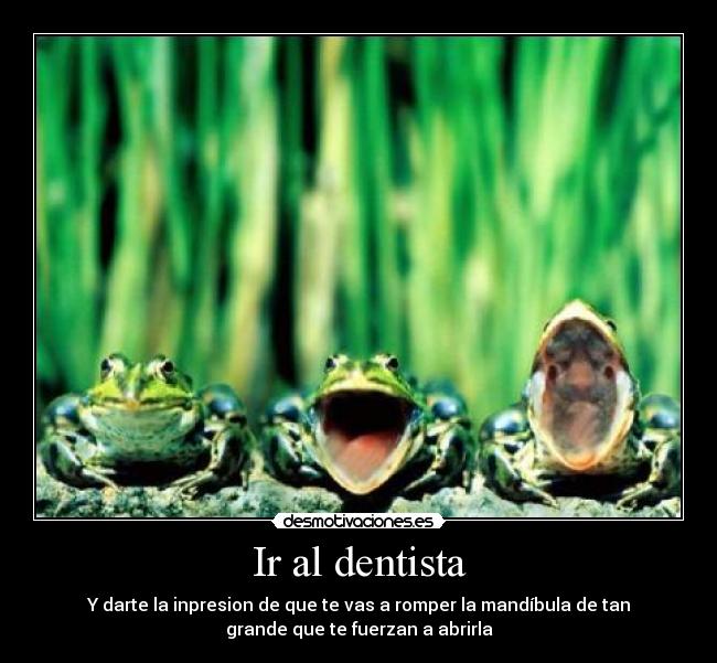 Ir al dentista - Y darte la inpresion de que te vas a romper la mandíbula de tan
grande que te fuerzan a abrirla