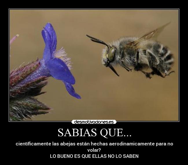 SABIAS QUE... - 