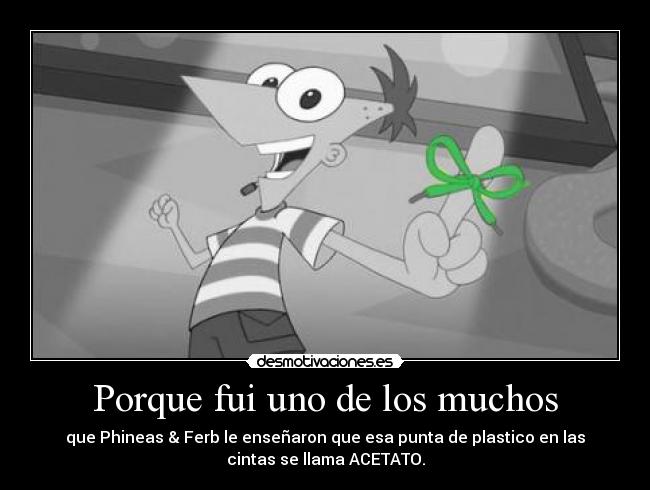 Porque fui uno de los muchos - 