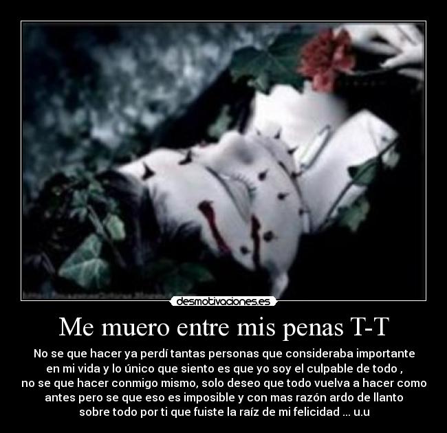 Me muero entre mis penas T-T - No se que hacer ya perdí tantas personas que consideraba importante
en mi vida y lo único que siento es que yo soy el culpable de todo ,
no se que hacer conmigo mismo, solo deseo que todo vuelva a hacer como
antes pero se que eso es imposible y con mas razón ardo de llanto
sobre todo por ti que fuiste la raíz de mi felicidad ... u.u