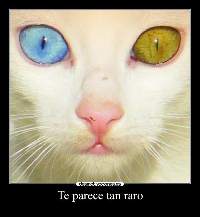 Te parece tan raro -