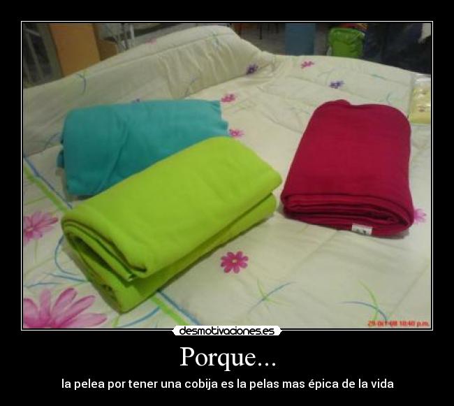 Porque... - la pelea por tener una cobija es la pelas mas épica de la vida