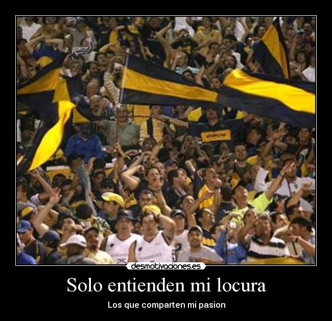 carteles locura agustin bogado desmotivaciones