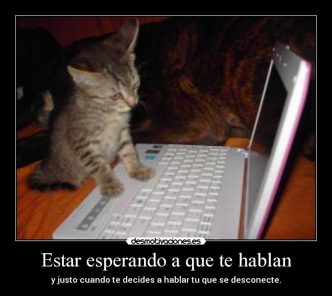Estar esperando a que te hablan - 