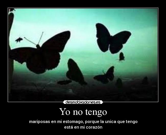 Yo no tengo - 
