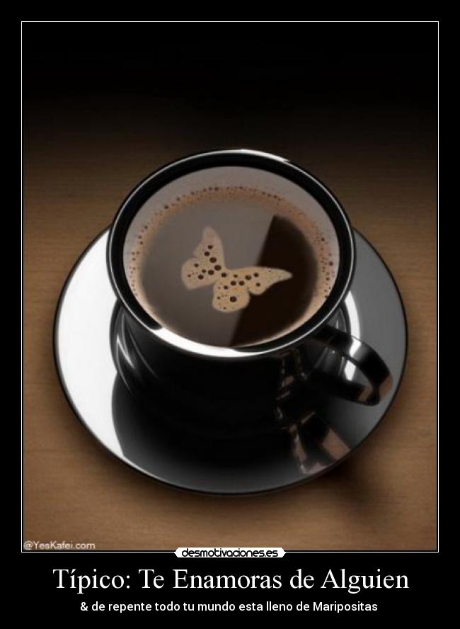 Típico: Te Enamoras de Alguien -