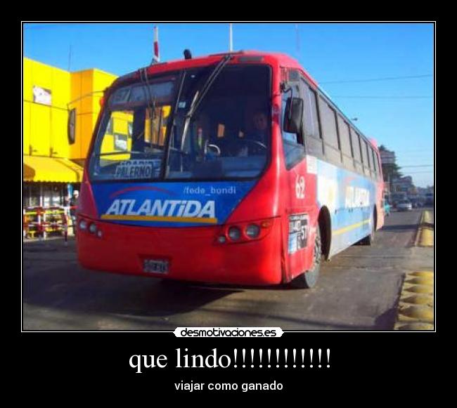 que lindo!!!!!!!!!!!! -
