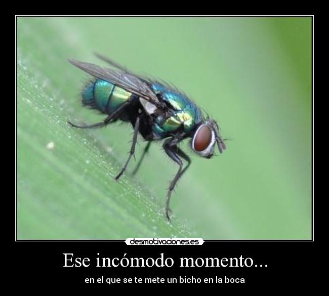 Ese incómodo momento... - en el que se te mete un bicho en la boca