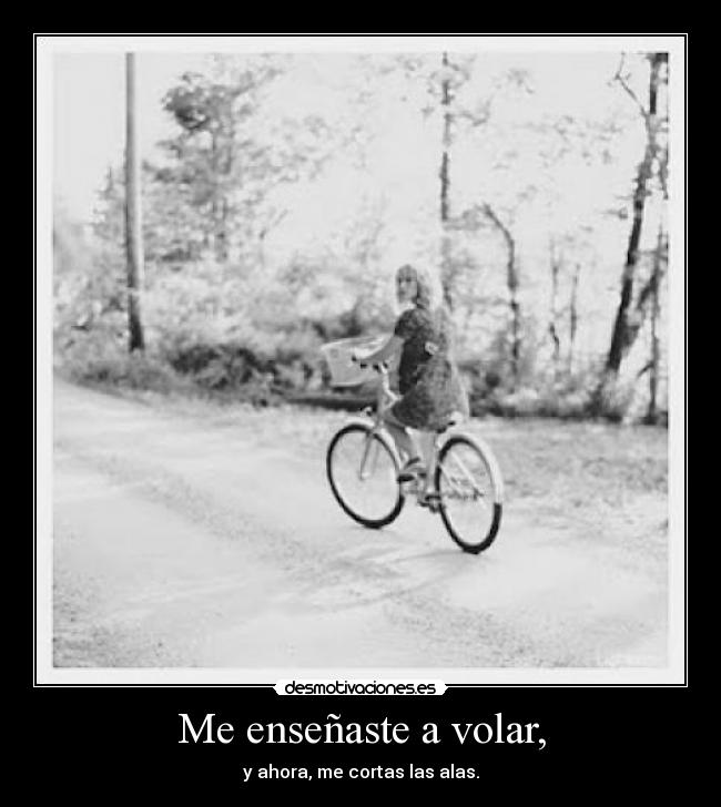 Me enseñaste a volar, -