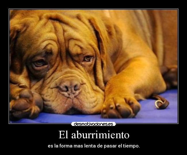 El aburrimiento - 