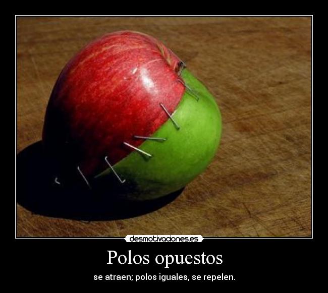 Polos opuestos - 