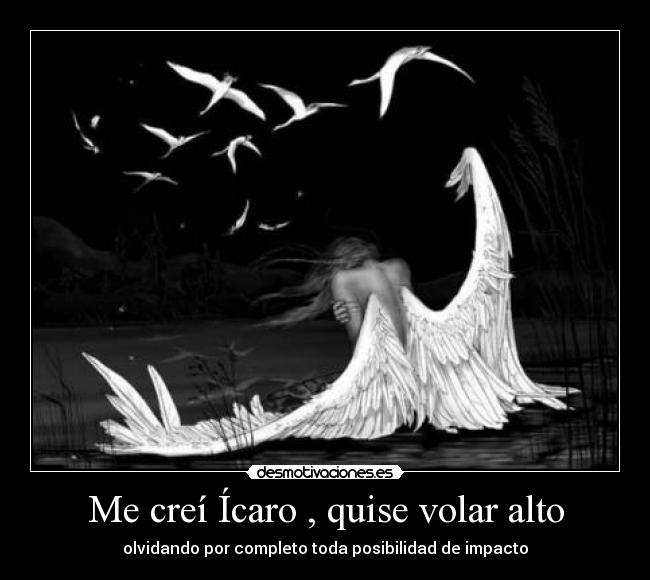 Me creí Ícaro , quise volar alto - olvidando por completo toda posibilidad de impacto