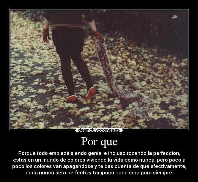 Por que - Porque todo empieza siendo genial e incluso rozando la perfeccion,
estas en un mundo de colores viviendo la vida como nunca, pero poco a
poco los colores van apagandose y te das cuenta de que efectivamente,
nada nunca sera perfecto y tampoco nada sera para siempre.