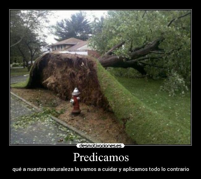 Predicamos - 