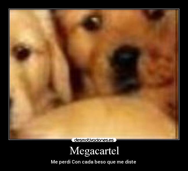 Megacartel - Me perdi Con cada beso que me diste ♪