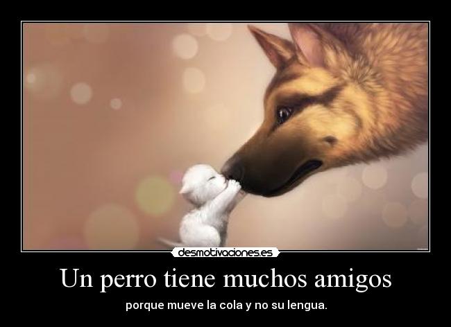 Un perro tiene muchos amigos -