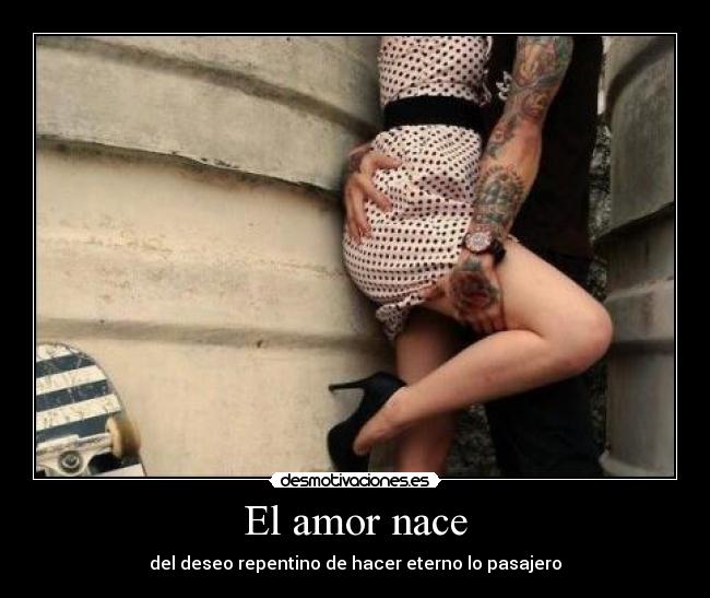 El amor nace - 