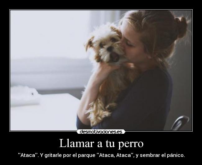 Llamar a tu perro -