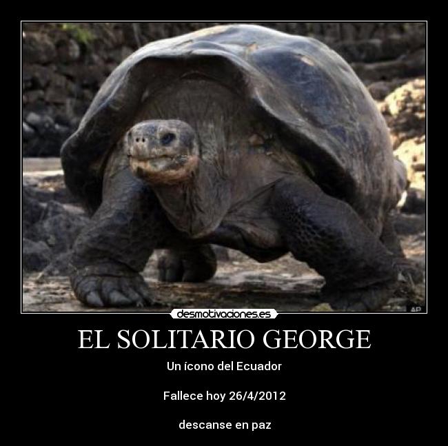 EL SOLITARIO GEORGE - 