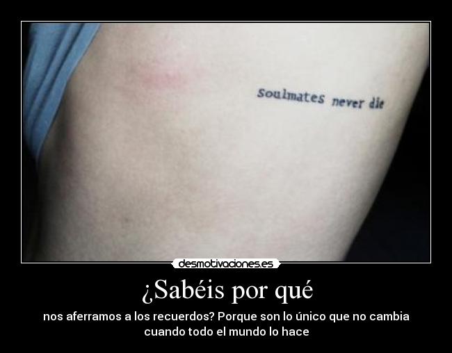 ¿Sabéis por qué -