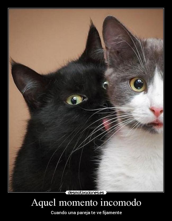 Aquel momento incomodo - Cuando una pareja te ve fijamente