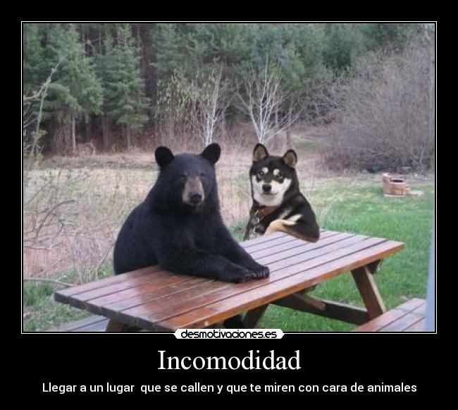 Incomodidad - Llegar a un lugar que se callen y que te miren con cara de animales