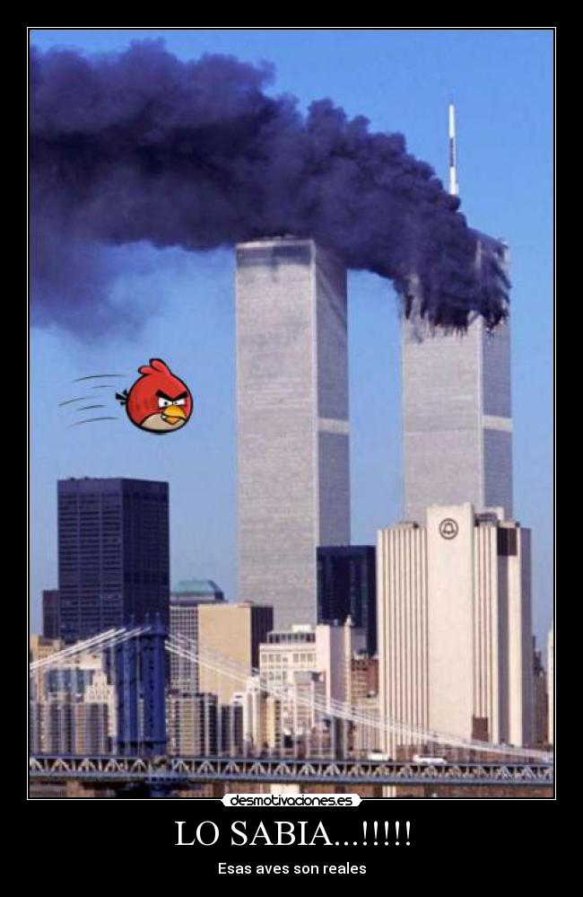 LO SABIA...!!!!! - Esas aves son reales