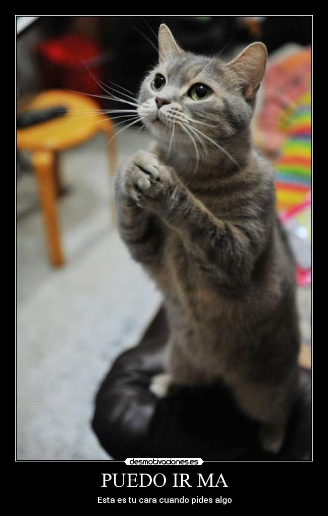 PUEDO IR MA - Esta es tu cara cuando pides algo