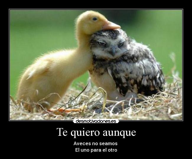 Te quiero aunque - Aveces no seamos
El uno para el otro