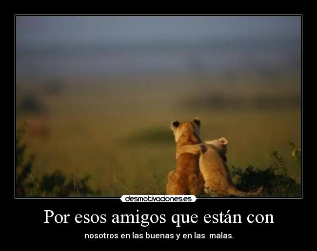 Por esos amigos que están con - nosotros en las buenas y en las malas.