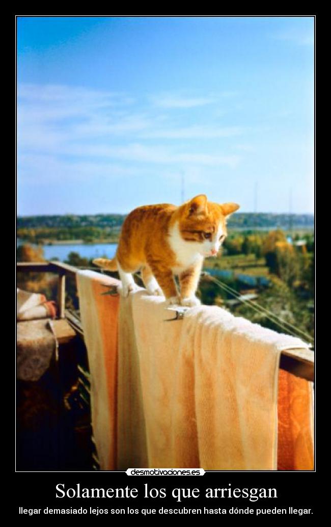 Solamente los que arriesgan - llegar demasiado lejos son los que descubren hasta dónde pueden llegar.