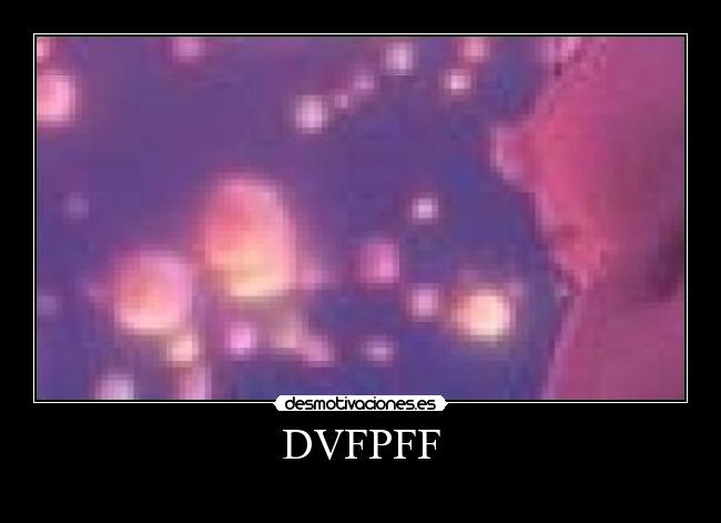 DVFPFF -
