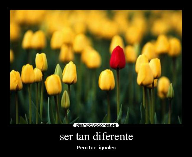 ser tan diferente - Pero tan iguales