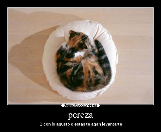 pereza - Q con lo agusto q estas te agan levantarte
