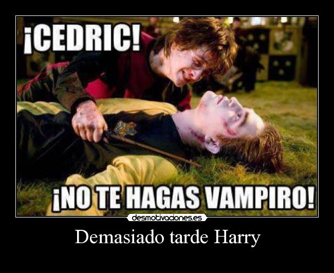 Demasiado tarde Harry -