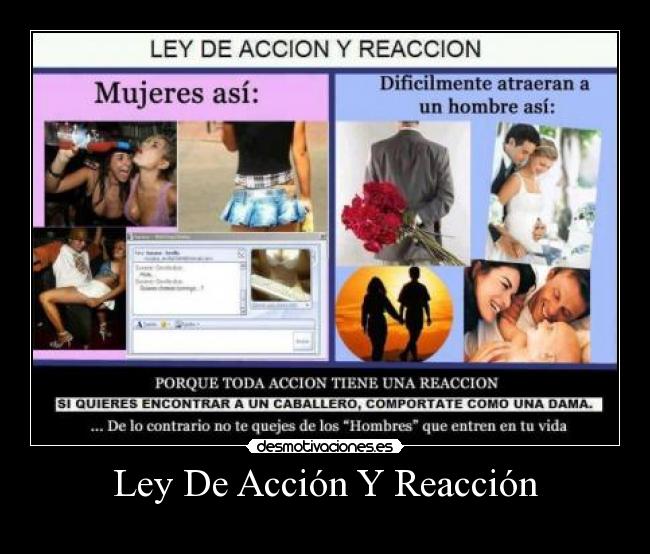 Ley De Acción Y Reacción -