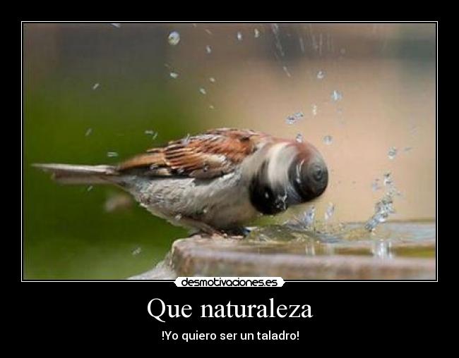 Que naturaleza - !Yo quiero ser un taladro!