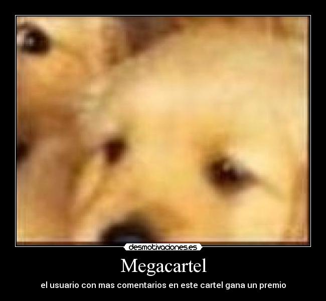 Megacartel - el usuario con mas comentarios en este cartel gana un premio