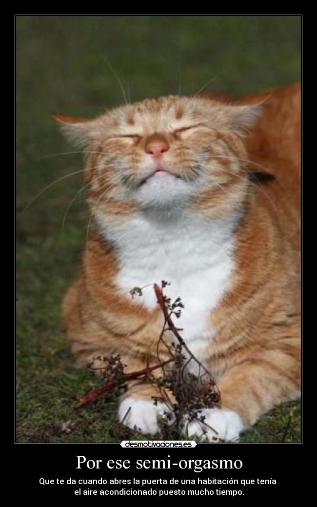 Por ese semi-orgasmo - Que te da cuando abres la puerta de una habitación que tenía
el aire acondicionado puesto mucho tiempo.