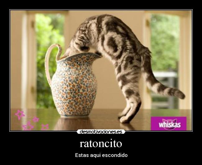 ratoncito - Estas aqui escondido