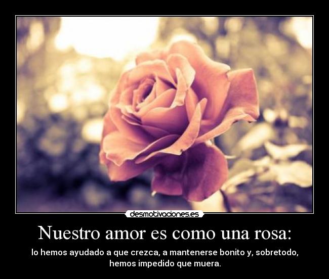 carteles amor love desmotivaciones