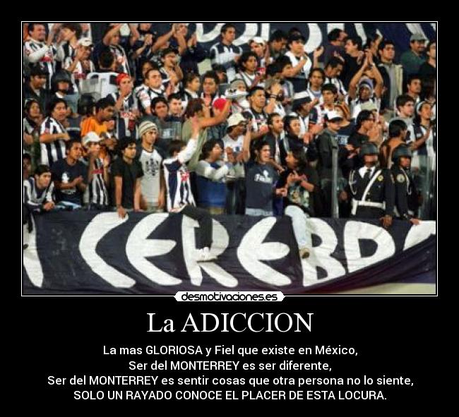 La ADICCION - La mas GLORIOSA y Fiel que existe en México,
Ser del MONTERREY es ser diferente,
Ser del MONTERREY es sentir cosas que otra persona no lo siente,
SOLO UN RAYADO CONOCE EL PLACER DE ESTA LOCURA.