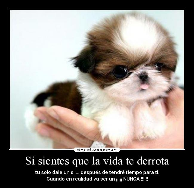 Si sientes que la vida te derrota - tu solo dale un si ... después de tendré tiempo para ti.
Cuando en realidad va ser un ¡¡¡¡¡ NUNCA !!!!!!