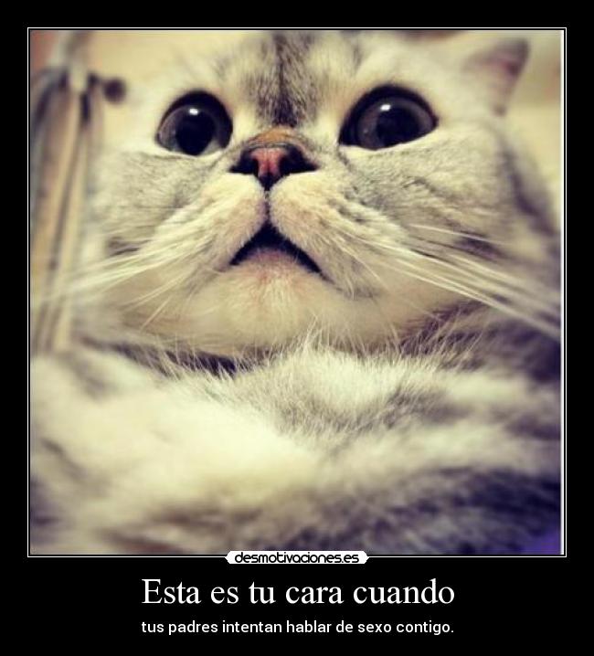 Esta es tu cara cuando - tus padres intentan hablar de sexo contigo.