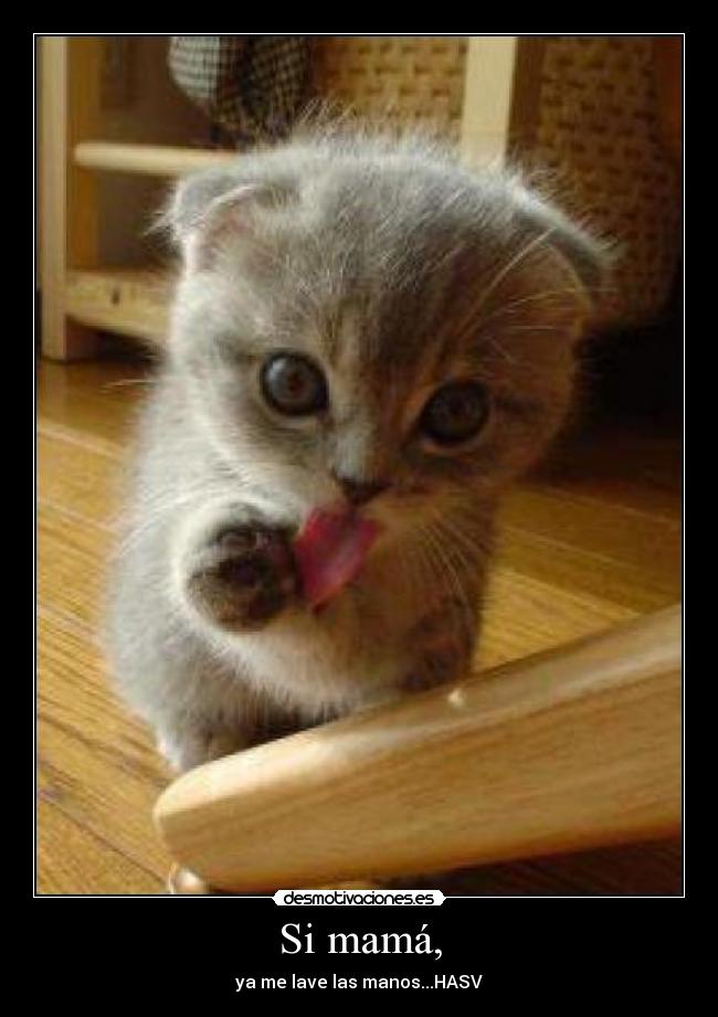 Si mamá, - ya me lave las manos...HASV